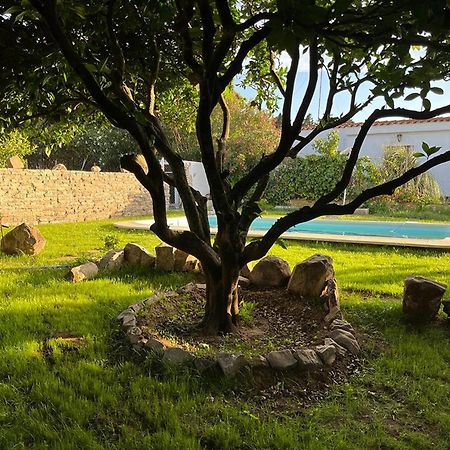 Casa Rural Con Piscina En Conil De La Frontera - Casa Oeste Villa Cádiz Exterior foto