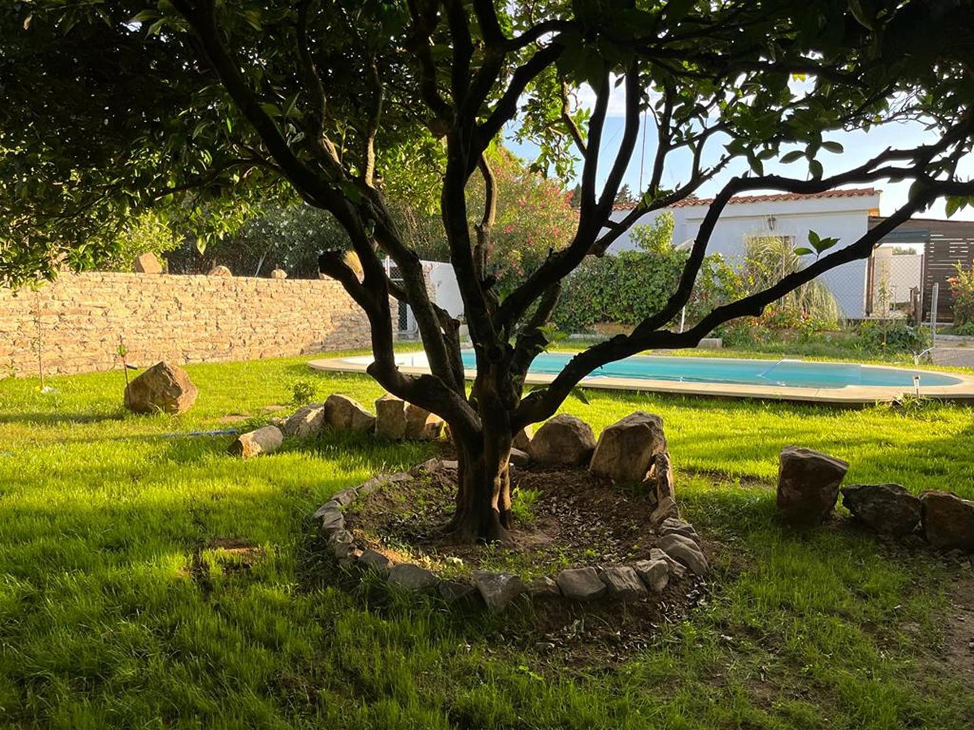 Casa Rural Con Piscina En Conil De La Frontera - Casa Oeste Villa Cádiz Exterior foto