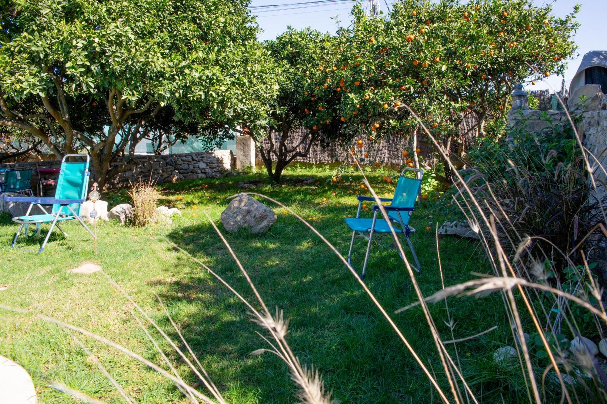 Casa Rural Con Piscina En Conil De La Frontera - Casa Oeste Villa Cádiz Exterior foto